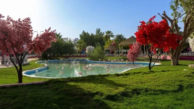 Riyadh Zoo: A Child‑Friendly Zone at Riyadh Season 2025