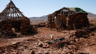 UN Probe Finds 'Hallmarks of Genocide' in RSF Takeover of Sudan's El-Fasher