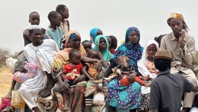 UNSC Sanctions Top RSF Leaders, Urges Immediate Sudan Ceasefire