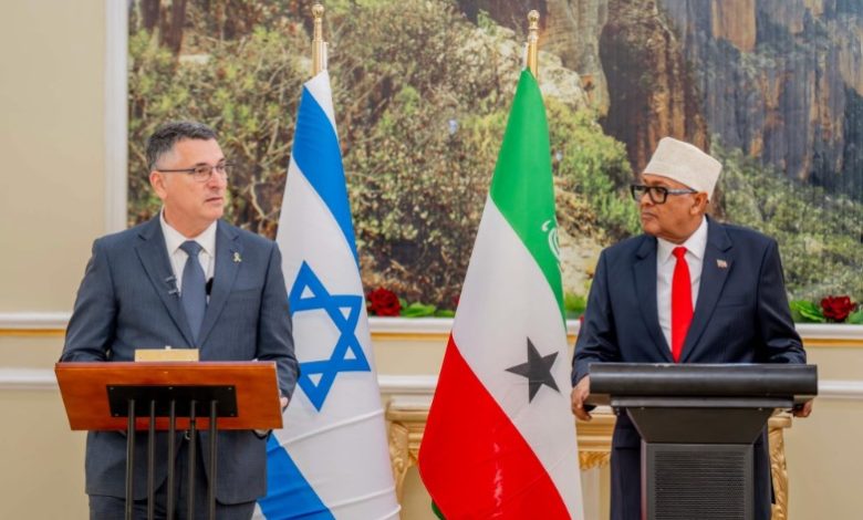 Somaliland Courts US with Access to Minerals, Military Bases