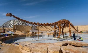 Riyadh’s King Abdullah Gardens Set to Transform Urban Green Spaces