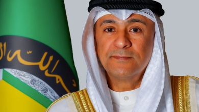 GCC Hails Lebanon’s Move to Limit Arms to Official Forces