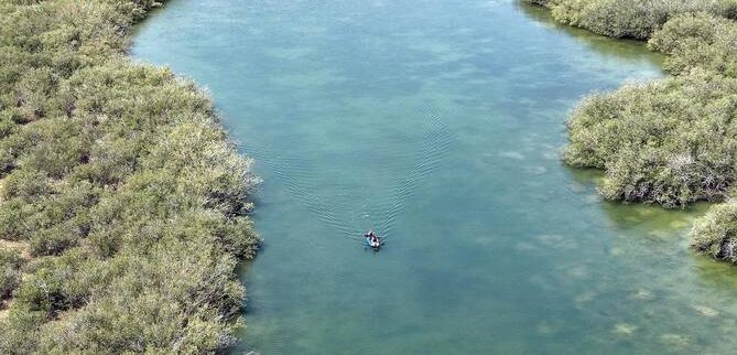 Kayaking Emerges as Captivating Destination at Farasan’s Al-Hareed Festival