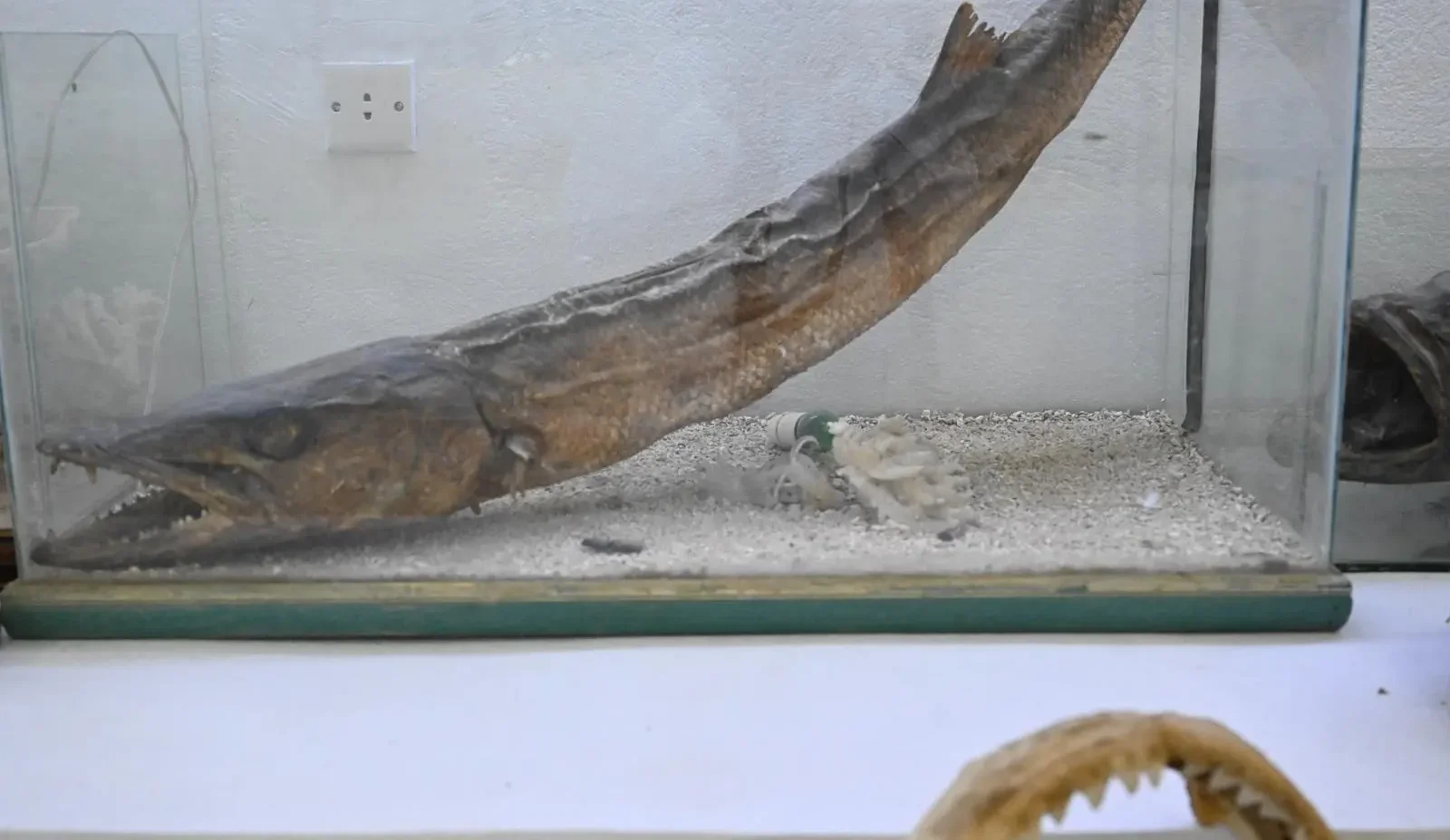 Zayla'i Museum Spotlights Farasan’s Maritime Legacy
