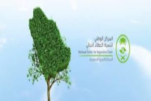 NCVC Establishes Regional Network for Wild, Rangeland Seeds