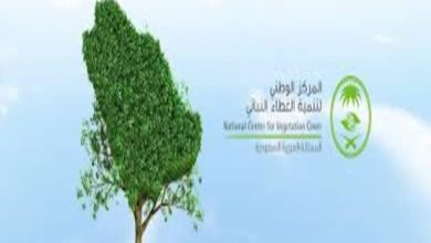 NCVC Establishes Regional Network for Wild, Rangeland Seeds