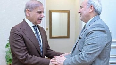 Pakistan PM, Iran Envoy Discuss Regional Situation after US Ceasefire Extension