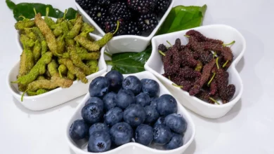 Qassim’s Agricultural Transformation: Mulberry, Berry Cultivation Bolster Saudi Food Security