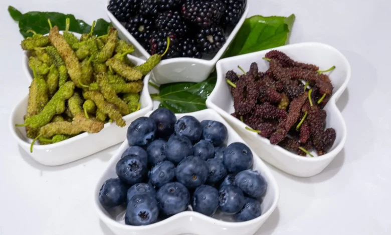 Qassim’s Agricultural Transformation: Mulberry, Berry Cultivation Bolster Saudi Food Security