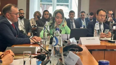 Saudi Arabia, EU, Norway Lead Ninth Global Alliance Meeting on Two-State Solution Implementation