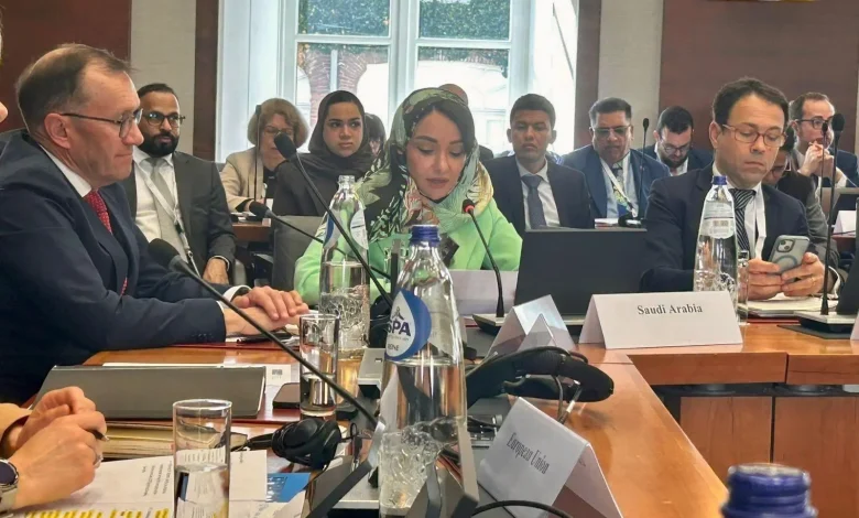 Saudi Arabia, EU, Norway Lead Ninth Global Alliance Meeting on Two-State Solution Implementation
