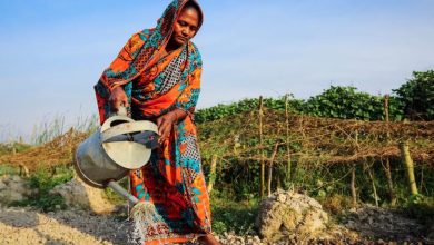 UNDP Warns 30mn People Face Poverty as Iran War Persists