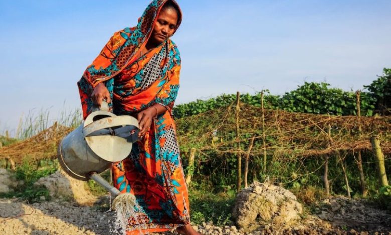 UNDP Warns 30mn People Face Poverty as Iran War Persists