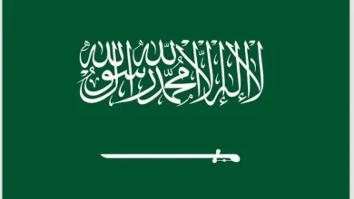 Alaidarous, Tulbah Secure Bronze, Almarhoun Receives Honorable Mention at EGMO 2026