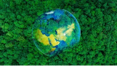 Jeddah Astronomy Society: Global Unity Marks Earth Day 2026