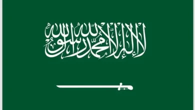 Saudi Arabia: Peace Requires Ceasefire, Palestinian State Within 1967 Borders