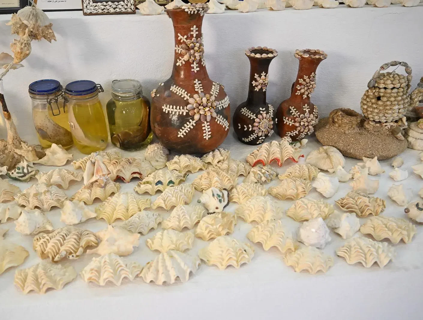 Zayla'i Museum Spotlights Farasan’s Maritime Legacy