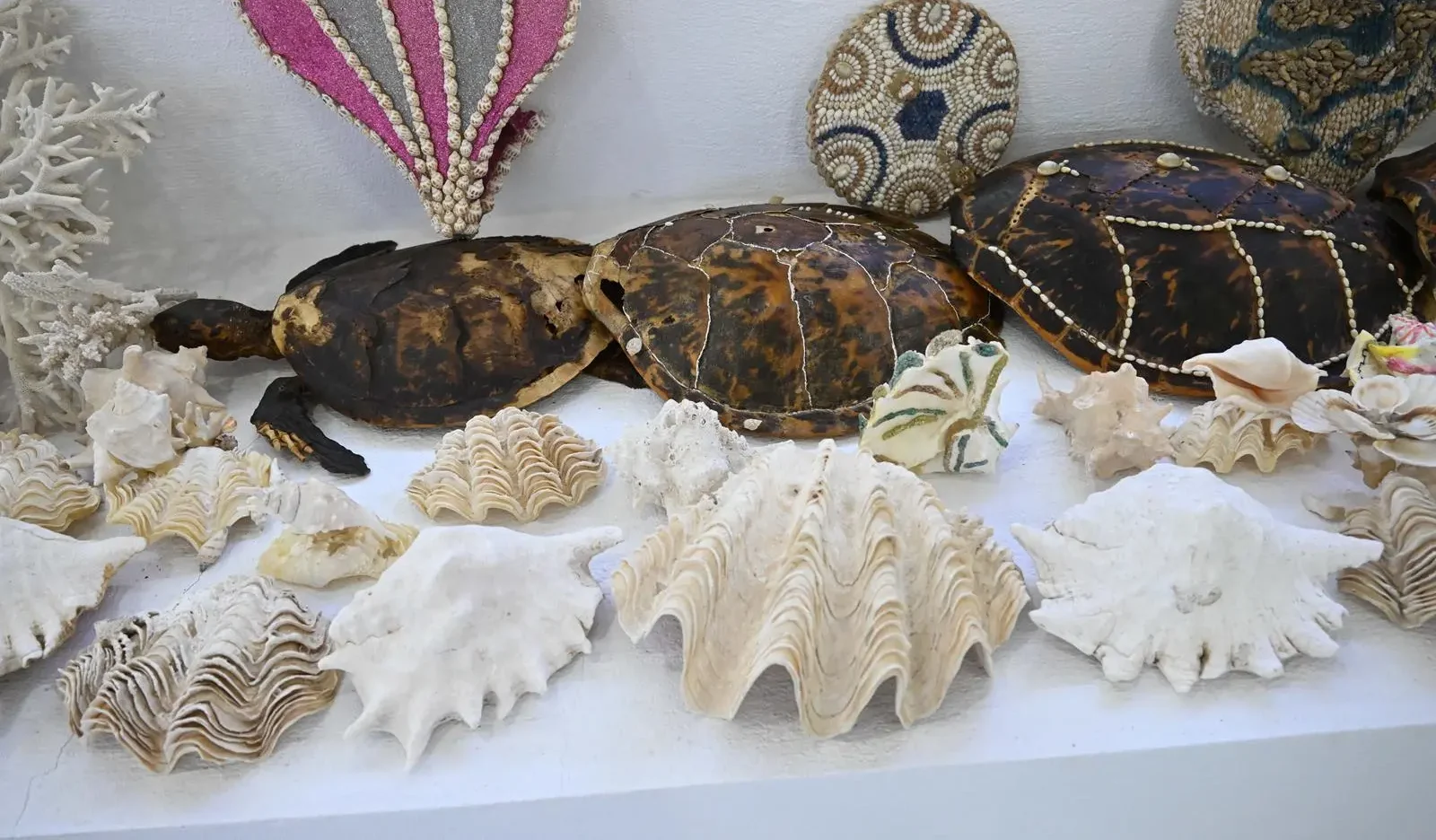 Zayla'i Museum Spotlights Farasan’s Maritime Legacy