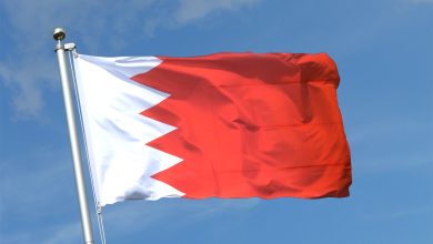 Bahrain Detains 41 Suspects over Alleged IRGC Links