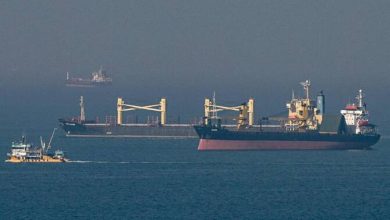 3 Tankers Allegedly Hit by Drone Attacks in Black Sea, Shipping Agency Reports