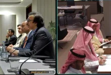 Industry Minister, Pakistani Officials Hold Talks on Industrial Cooperation, Fertilizer Investment