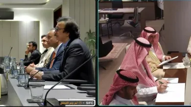 Industry Minister, Pakistani Officials Hold Talks on Industrial Cooperation, Fertilizer Investment