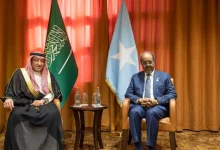 President of Federal Republic of Somalia Meets Vice Minister of Foreign Affairs