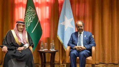 President of Federal Republic of Somalia Meets Vice Minister of Foreign Affairs