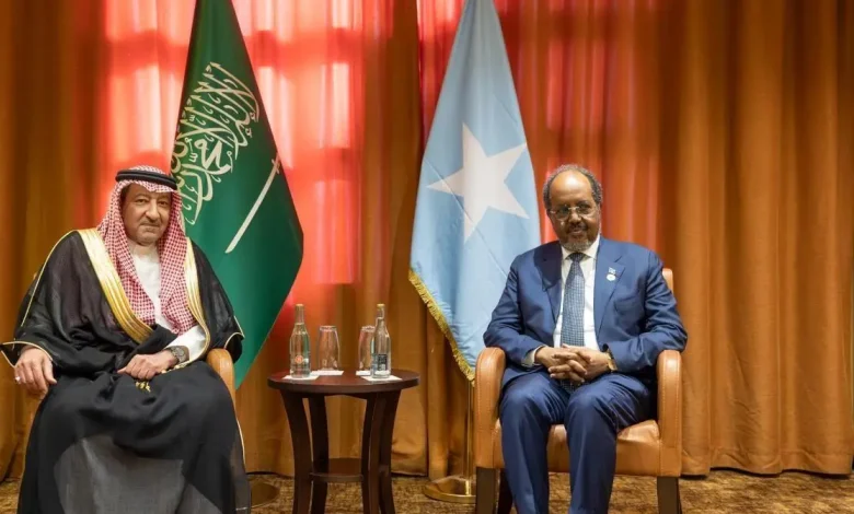 President of Federal Republic of Somalia Meets Vice Minister of Foreign Affairs