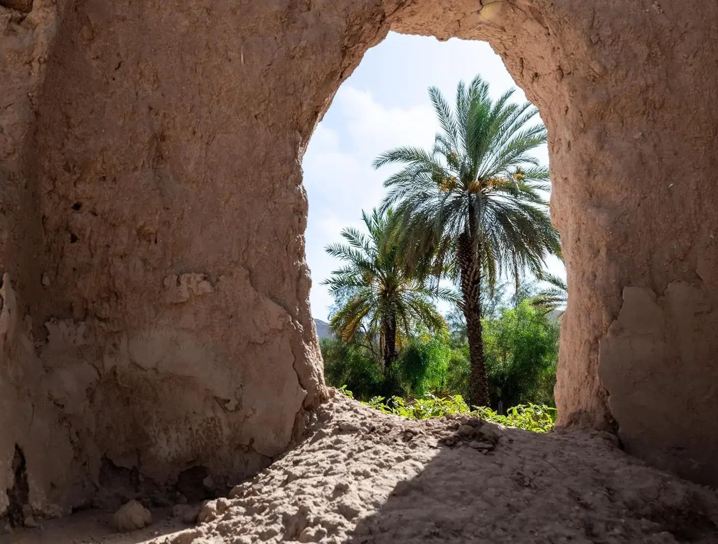 AlUla Launches Interactive Environment Week 2026 to Encourage Sustainability