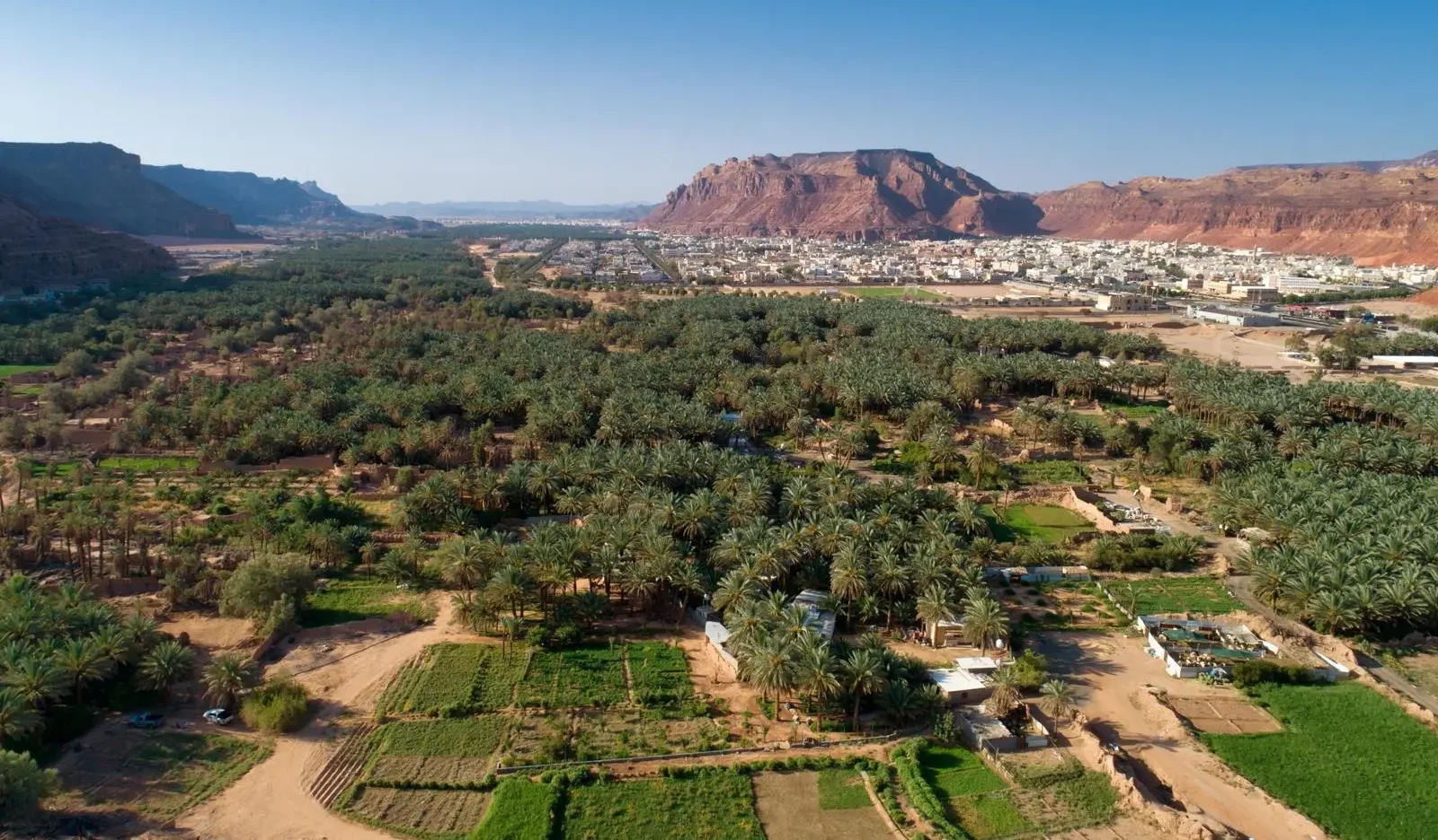 AlUla Launches Interactive Environment Week 2026 to Encourage Sustainability