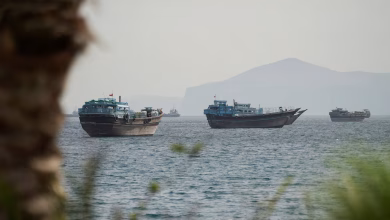 LNG, Oil Cargoes Leave Strait of Hormuz, Head to Pakistan, China