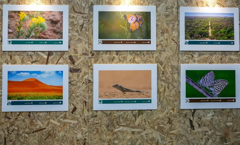 Saudi Environment Week 2026 Showcases Diverse Landscapes and Wildlife