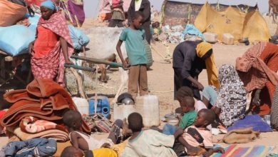 Sudan Hunger Crisis Deepens: 20 Million Endure Acute Food Insecurity