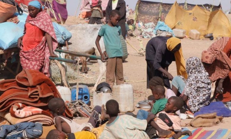 Sudan Hunger Crisis Deepens: 20 Million Endure Acute Food Insecurity