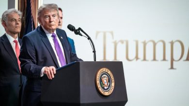 Saudi Arabia, Gulf Allies Push Trump to Pause Imminent Iran Attack