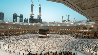 In Numbers: SBA Highlights Achievements During Hajj Season 1447
