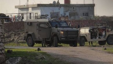Five Detained in Israeli Raids in Syria's Southern Quneitra