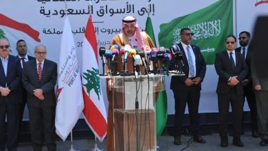 First Lebanese Cargo Ship Sails for Saudi Arabia as 5-Year Ban Ends