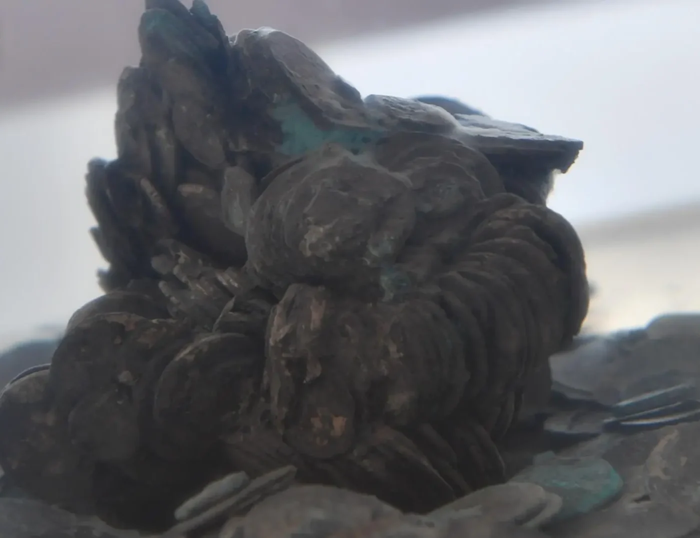“Sunken Treasures” Exhibition at Red Sea Museum Extended to August 15
