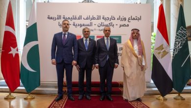 Saudi FM Attends R-4 Meeting as Al-Sisi Pushes to Formalize Regional Quartet