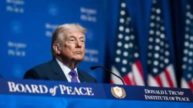 Trump's Gaza Board of Peace Pursues Total Legal Immunity: Report