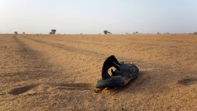 At Least 49 Die of Thirst in Niger Sahara After Truck Breakdown