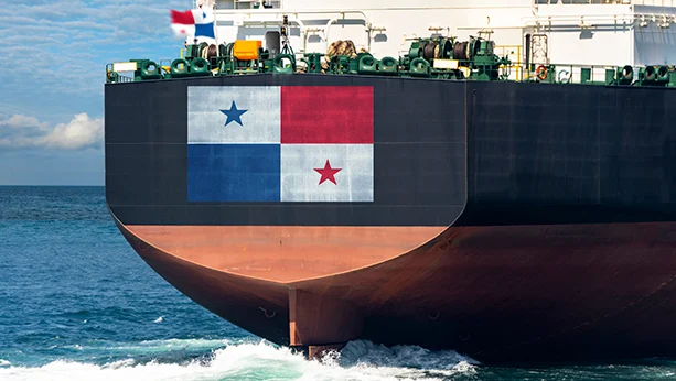 Panama-Flagged Ship Hit by Drone Strike in Black Sea