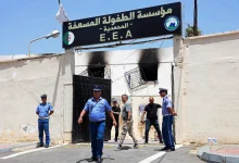 Saudi Arabia Extends Diplomatic Support After Deadly Fire in Algeria
