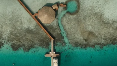 Discover the Untouched Beauty of Saudi Arabia's Red Sea Islands
