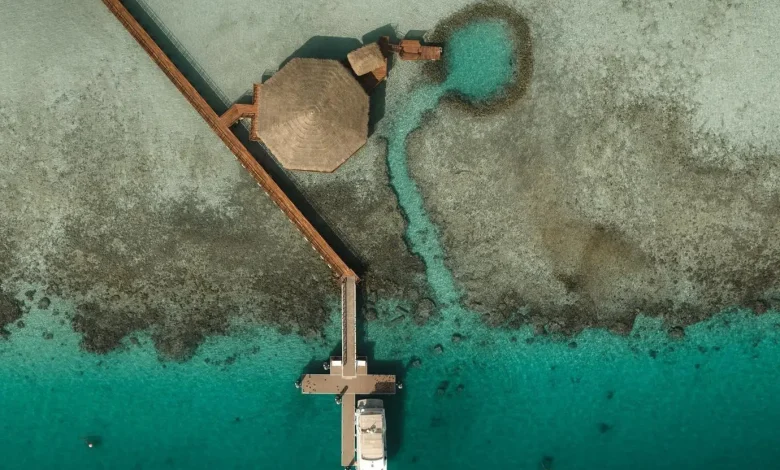Discover the Untouched Beauty of Saudi Arabia's Red Sea Islands