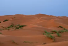 Why Is Khab Saha Captivating Nature Lovers Across Saudi Arabia?
