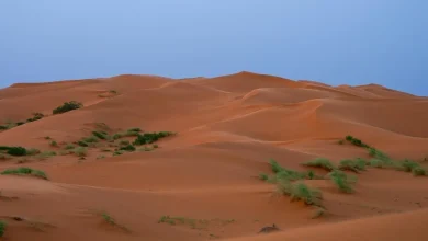 Why Is Khab Saha Captivating Nature Lovers Across Saudi Arabia?