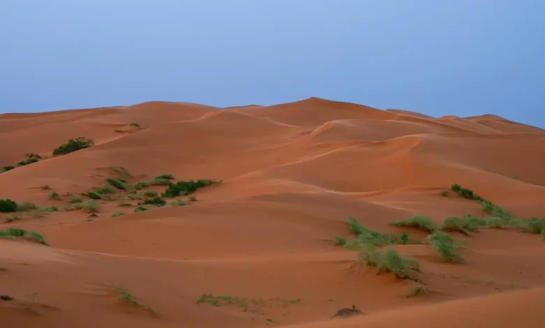Why Is Khab Saha Captivating Nature Lovers Across Saudi Arabia?
